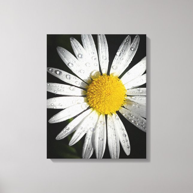 Daisy Leinwanddruck (Vorderseite)