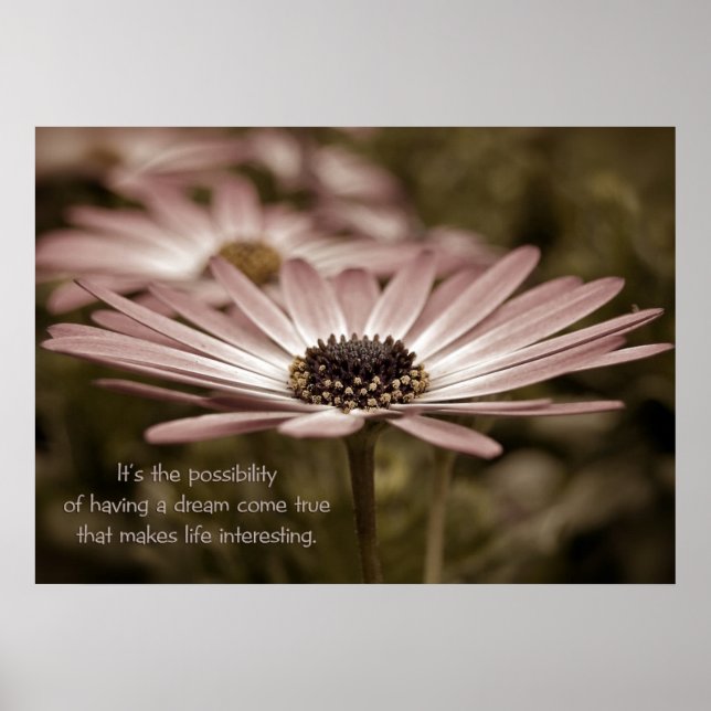 Daisy Macro Poster (Vorne)