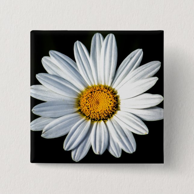 Daisy Mae Button (Vorderseite)