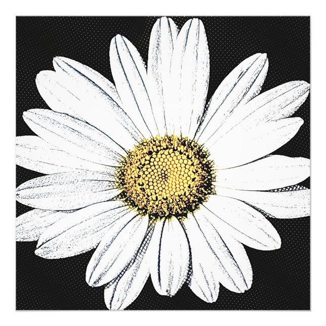 Daisy Mae Fotodruck (Vorne)