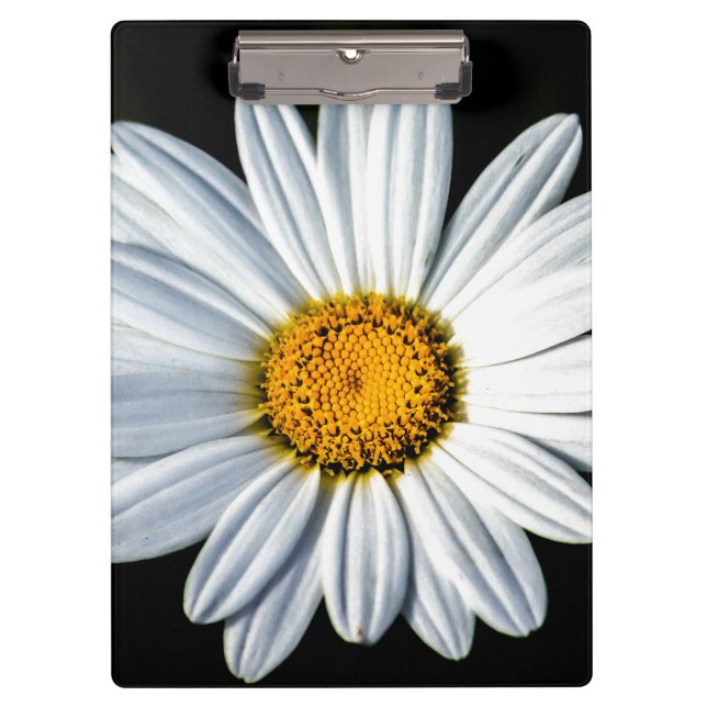 Daisy Mae Klemmbrett (Vorderseite)