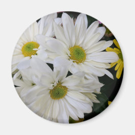 Daisy Magnet