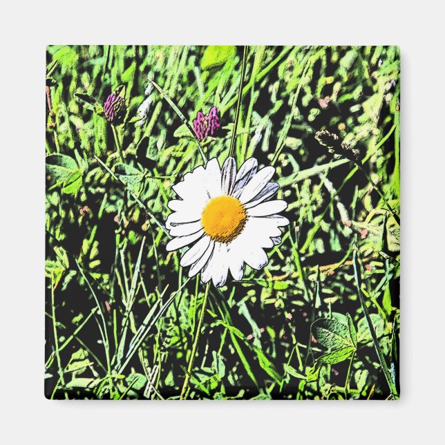 Daisy Magnet (Vorne)
