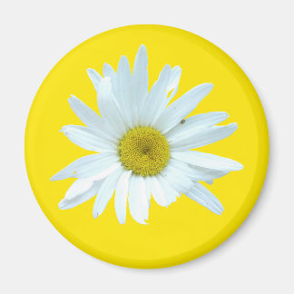 Daisy Magnet