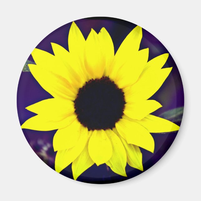 Daisy Magnet (Vorne)