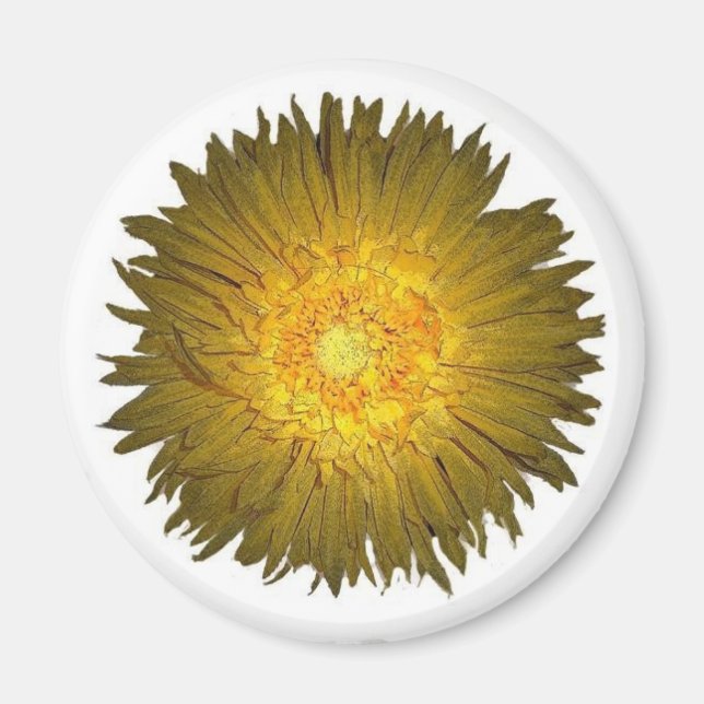 Daisy Magnet (Vorne)