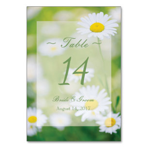 Daisy Marguerites Fleur Floral Été Numéro de Table