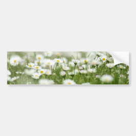 Daisy Meadow Autoaufkleber