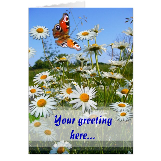 DAISY MEADOW ~ Carte (Devant)