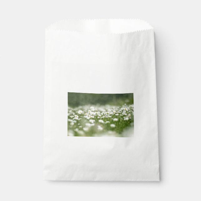 Daisy Meadow Geschenktütchen (Vorderseite)