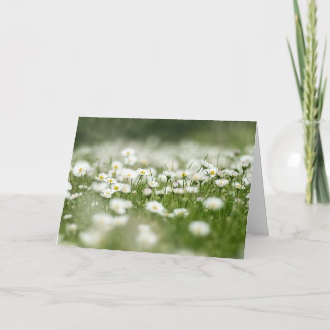 Daisy Meadow Karte (Vorderseite)