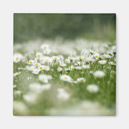 Daisy Meadow Magnet