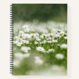 Daisy Meadow Notizbuch