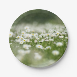 Daisy Meadow Pappteller