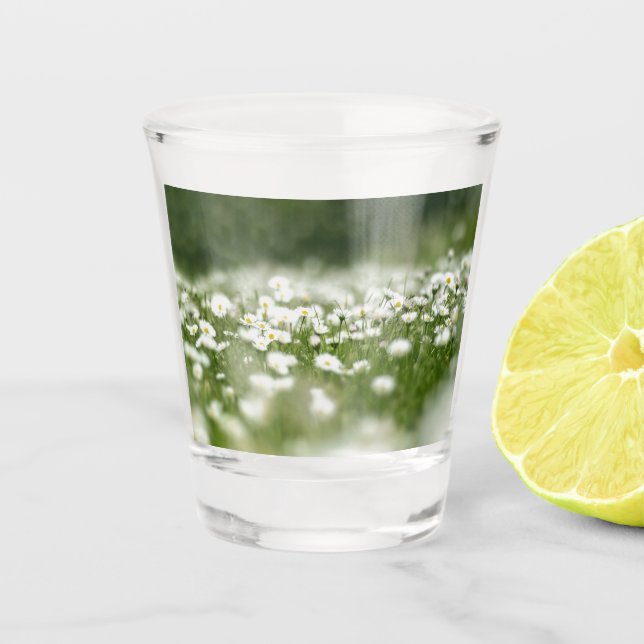 Daisy Meadow Schnapsglas (Vorderseite)