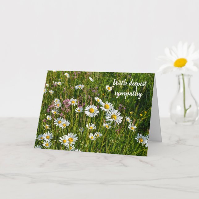 Daisy Meadows - mit tiefstem Beileid Karte (Kleine Pflanze)