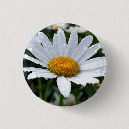 Daisy Morning Dew Button