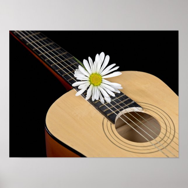 Daisy Music Poster (Vorne)