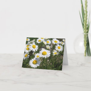 Daisy Note Card Karte