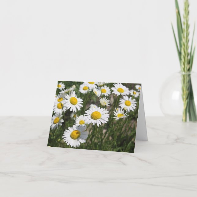 Daisy Note Card Karte (Vorderseite)