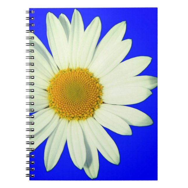 Daisy Notizblock (Vorderseite)