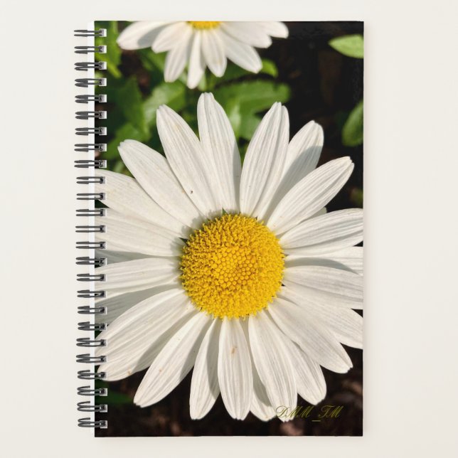 Daisy of a Planner. Planer (Vorderseite)