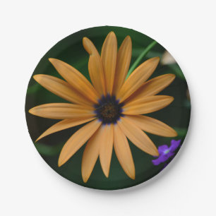 Daisy Paper Plate Pappteller