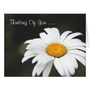 Daisy Penser De Vous Carte
