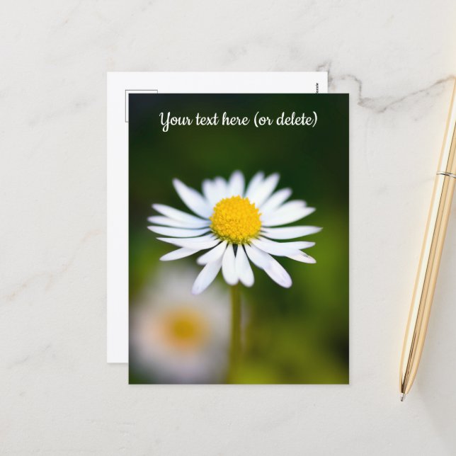 Daisy Postcard Feiertagspostkarte (Vorderseite/Rückseite Beispiel)