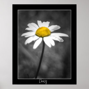 Daisy Poster