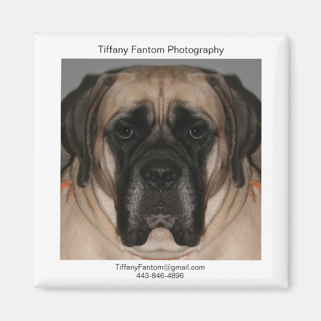 Daisy Promo Magnet (Vorne)