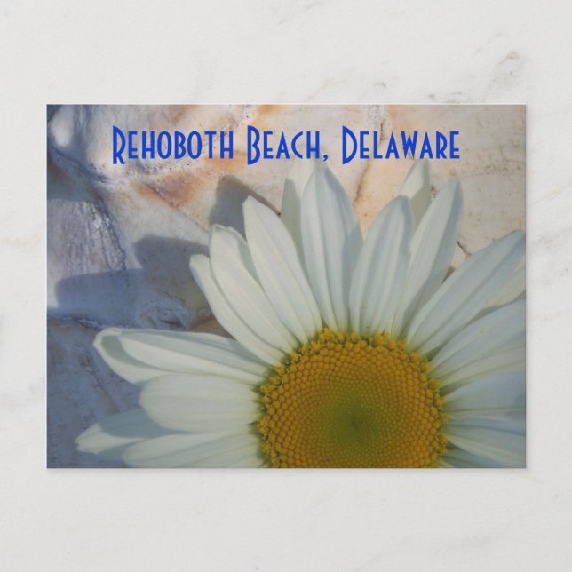 Daisy RehoBeide Beach Postcard Postkarte (Vorderseite)
