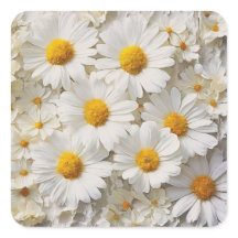 Daisy-Sammlung auf beschädigtem Papier