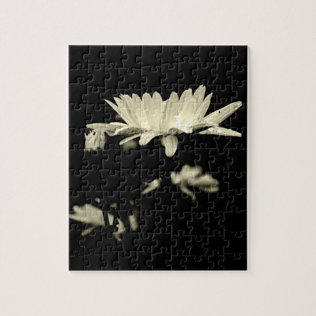 Daisy - Schwarzweiß (Vertikal)