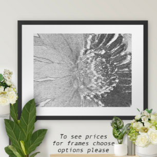Daisy Shades of Gray Floral Poster