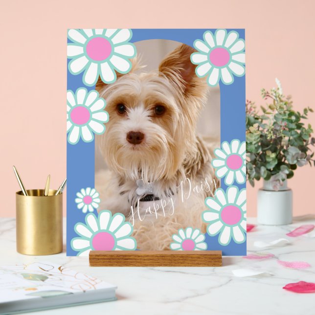 Daisy Simple Blue Foto Acrylschild (Hochzeit)