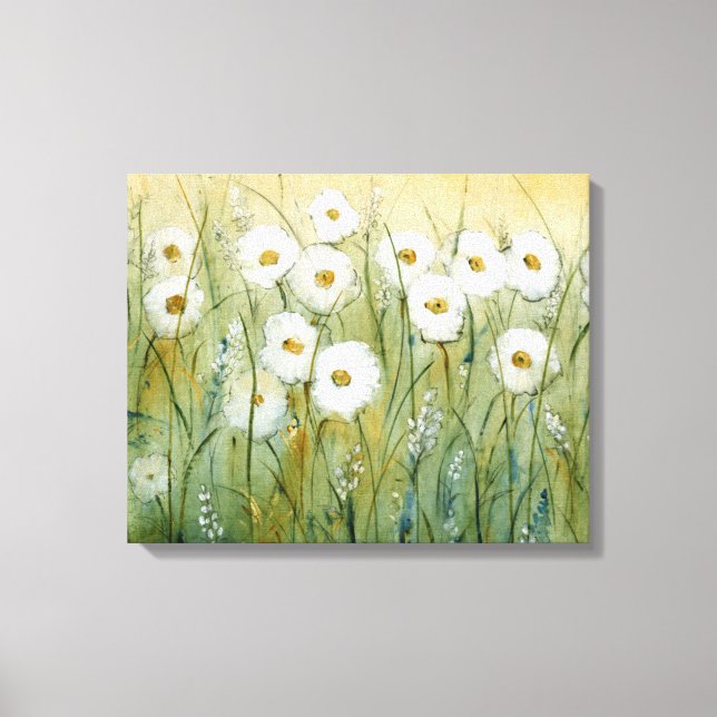 Daisy Spring I Leinwanddruck (Vorderseite)