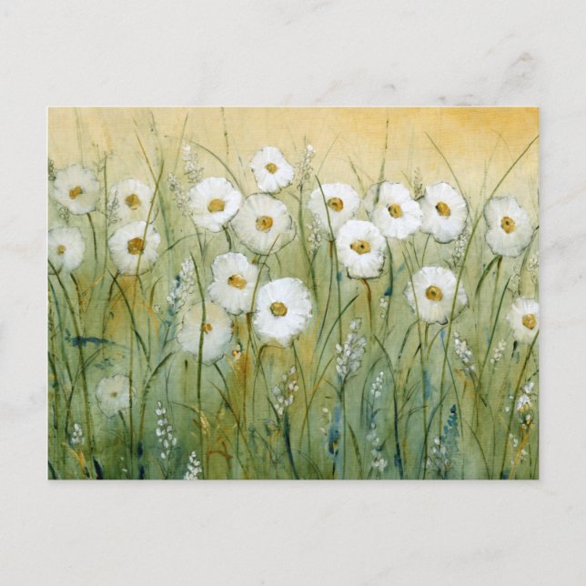 Daisy Spring I Postkarte (Vorderseite)
