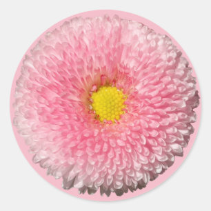 Daisy Sticker