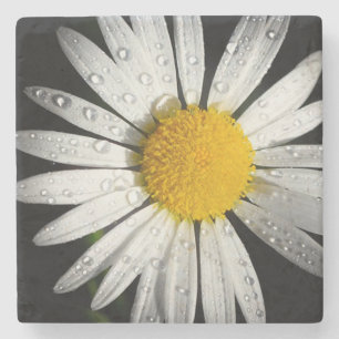 Daisy Stone Untersetzer