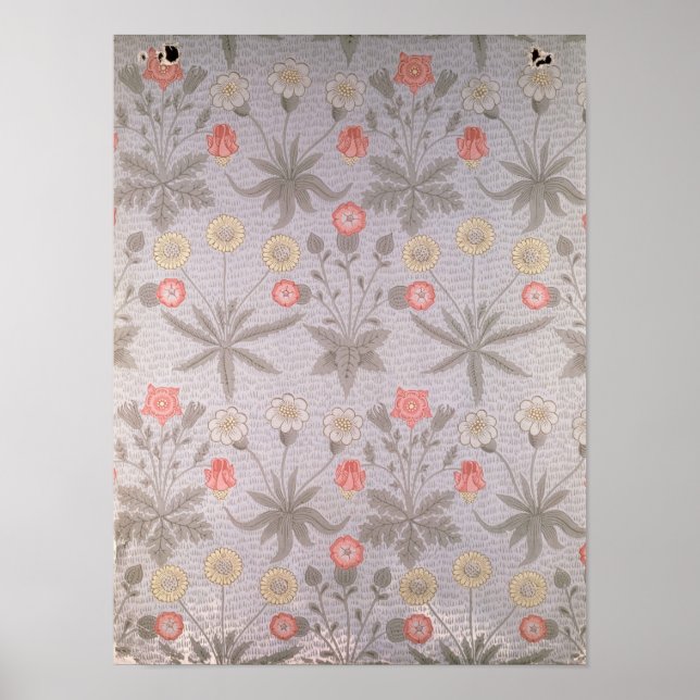 Daisy-Tapete Poster (Vorne)