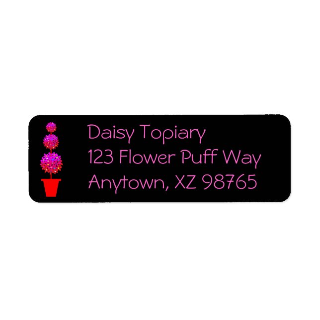 Daisy Topiary (Vorne)