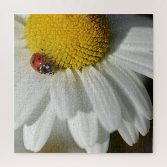 Daisy und ein Marienkäfer (Vertikal)