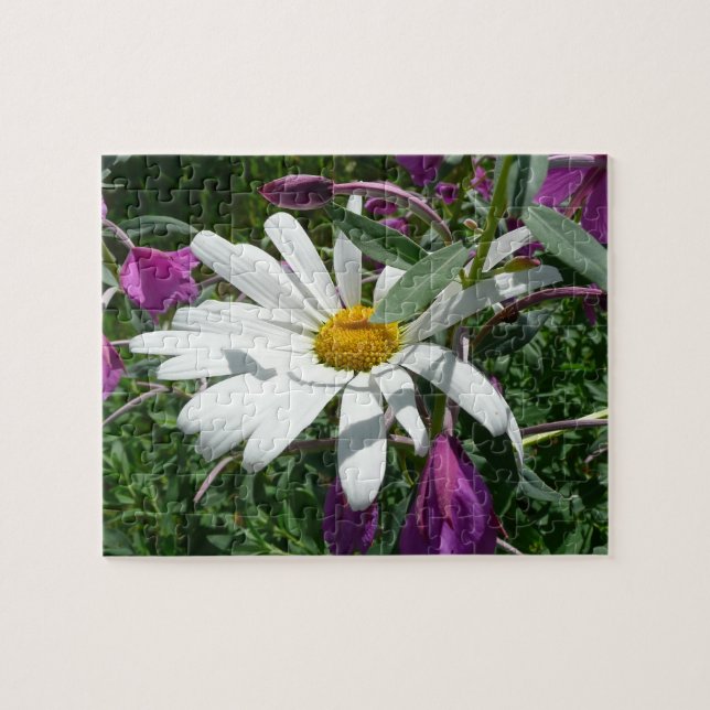 Daisy und Fireweed-Wildblume (Horizontal)