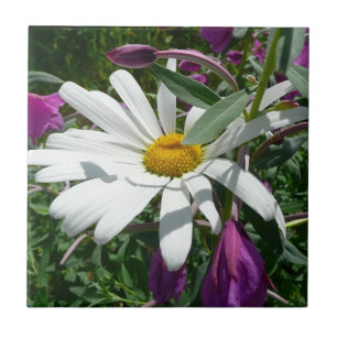 Daisy und Fireweed-Wildblume Fliese