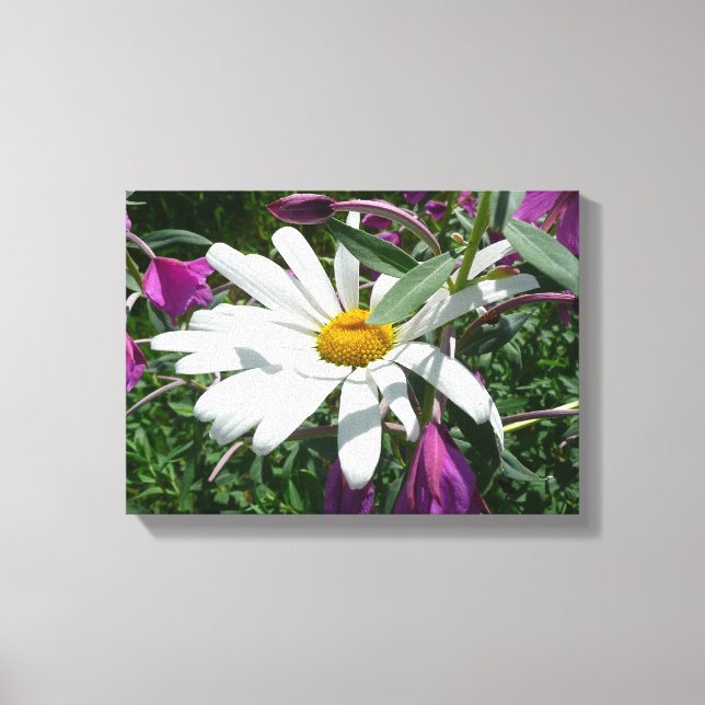 Daisy und Fireweed-Wildblume Leinwanddruck (Vorderseite)