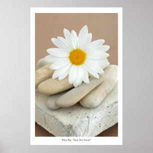 Daisy und Stones Poster