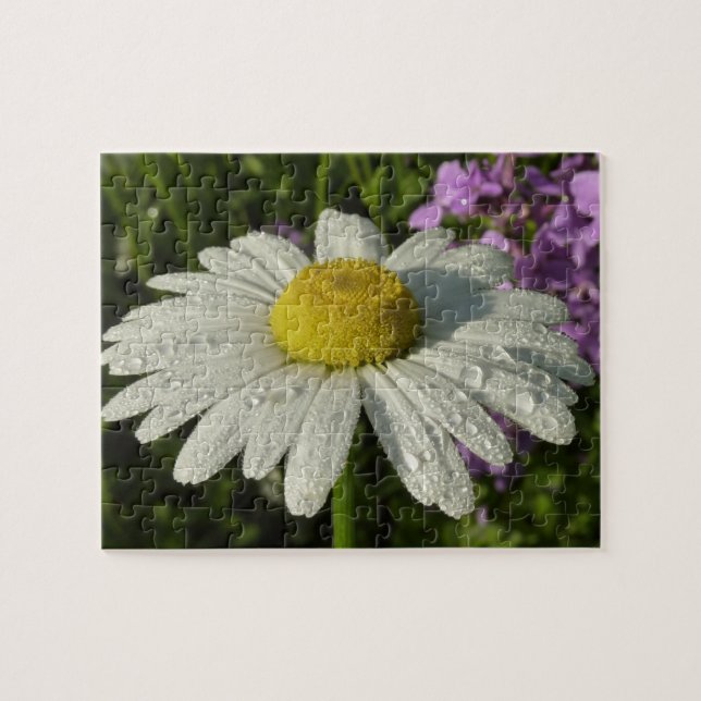 Daisy und Summer Lilac Wildblume (Horizontal)