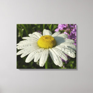 Daisy und Summer Lilac Wildblume Leinwanddruck