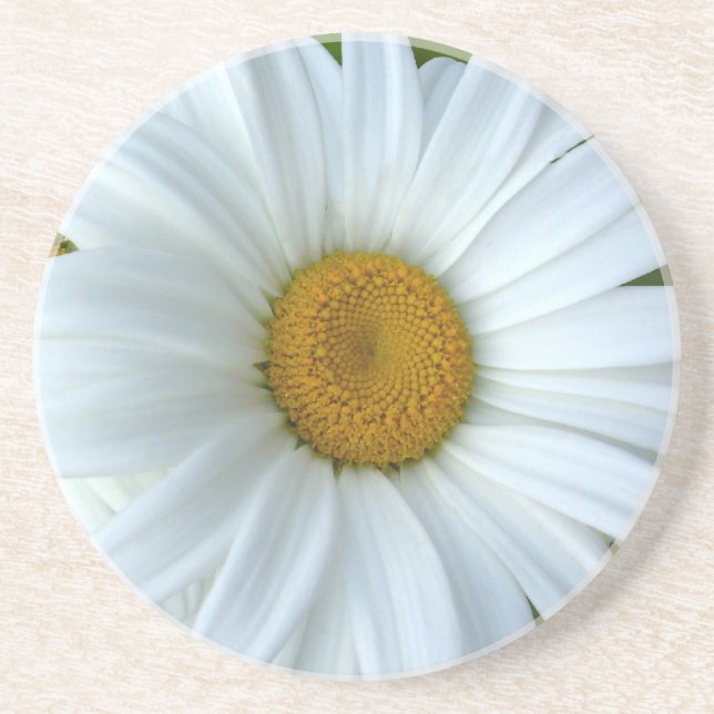 Daisy Untersetzer Wildblume Daisy Dekoration & Ges (Vorne)